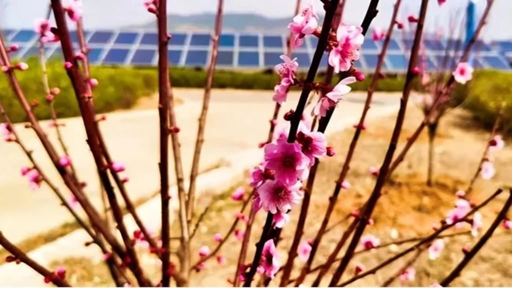 1749430173675437.jpg 11.jpg